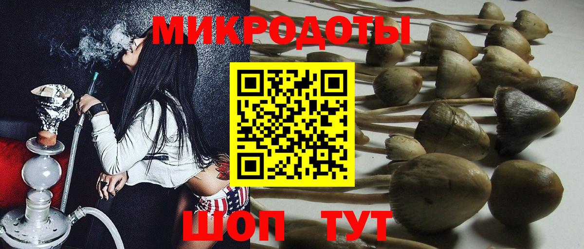 Галлюциногенные грибы Psilocybe Краснокаменск