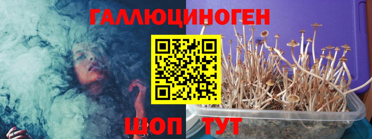 купить   Псилоцибиновые грибы прущие грибы  Вход с VPN  Краснокаменск  Псилоцибиновые грибы мицелий 